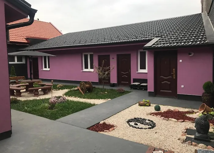 Zen Apartman 1 公寓 兹雷尼亚宁