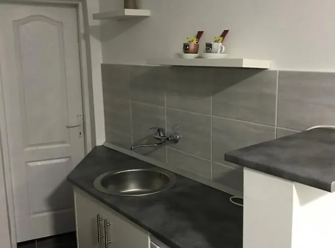 Zen Apartman 1 公寓 兹雷尼亚宁